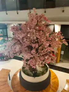 Selene Beach & Spa - Adult Only - 46