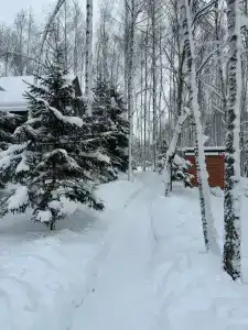 скульптора Эрьзи - 23