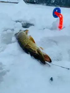 Дом отдыха в Валентиновке - 27