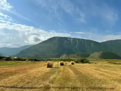 Алтай Ранчо - 2