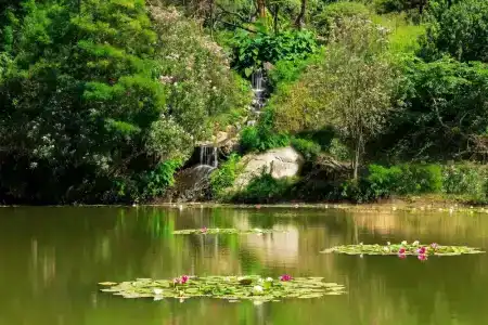 Arbatax Park Resort - Telis - 19