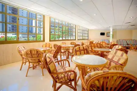 Servigroup Orange - 36