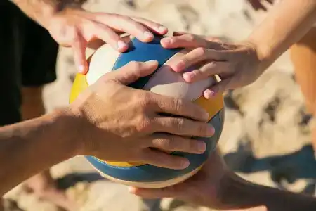 the niu Fury - - 18