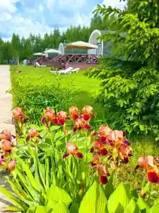 Теремок на денёк - 44