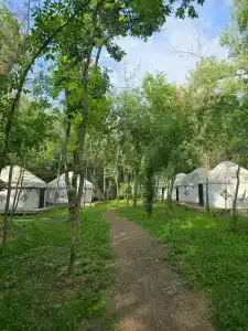 Юрта-парк на острове - 15