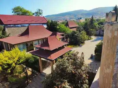 Граф