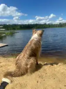 Заповедник - 49