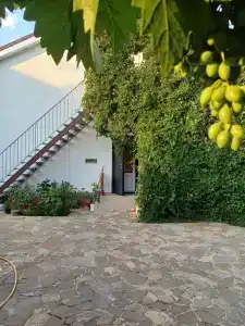 Лето на Заречной - 2