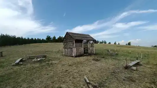 Дом Жар-Птицы - 55