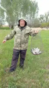 Балалайка - 39