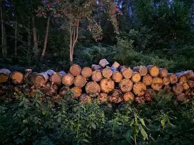 Лада Holiday - 46