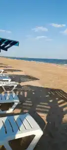 Альбатрос - 32