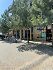 Джумейра - 29