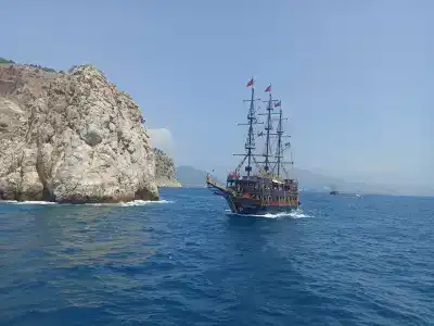 Rosella - 9