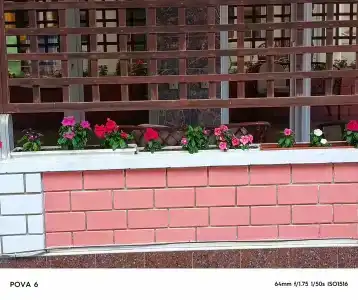 Белый Грифон - 46