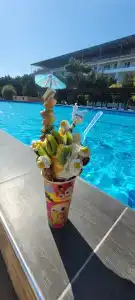 Электра Холидей - 59