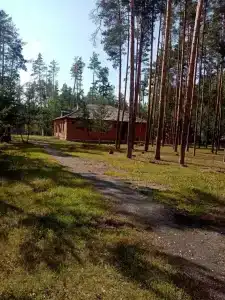Лесная cказка - 0