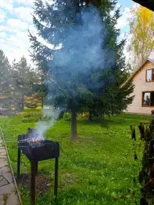 Романов дача - 11