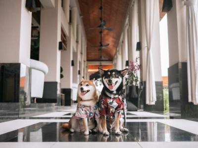 Sofitel Singapore Sentosa Resort & Spa (SG Clean) - 27