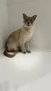 Ramada Hotel & Suites by Wyndham - 35