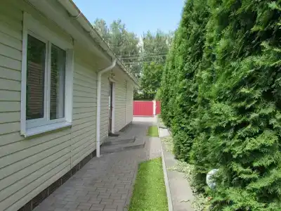 Сябрына - 11