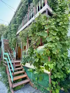 Кубанец - 1