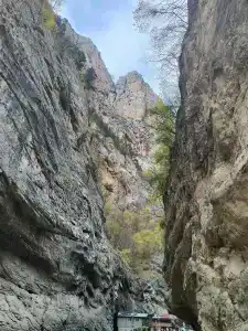 Сафари Парк - 4
