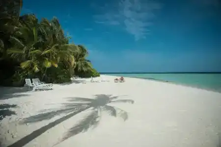 Biyadhoo Island Resort - 8