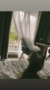 Экопарк Акора - 43