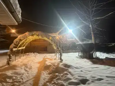 Гармония тишины - 0