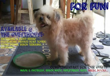 Kitty Guesthouse - 31