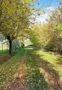 Cameracaffè sul Lago - 26