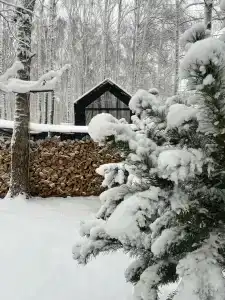 Дом для отпуска у Березы - 12