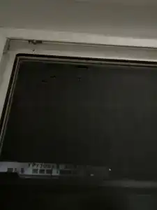 Дикая Вишня - 14