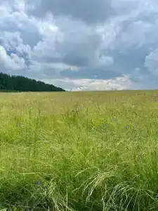 Солнечная пристань - 39