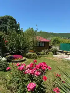 Комфорт - 2