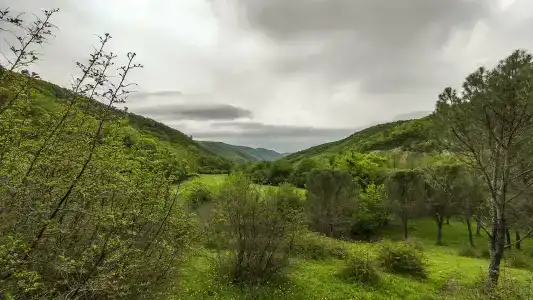 Точка притяжения - 47