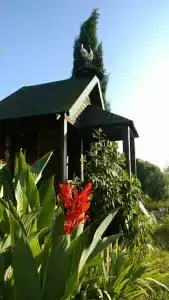 Жемчужина - 19