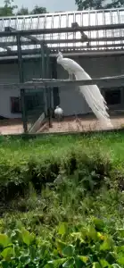 Хуторок - 23