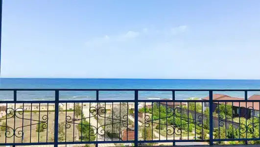 Электра Холидей - 74