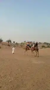 Palace Beach Resort - 28