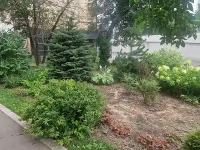 МоМи - 7