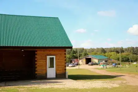 Конная эстетика - 43