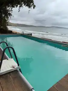 Амбассадор - 81