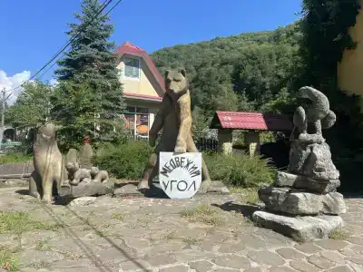 Медвежий угол-2 - 0