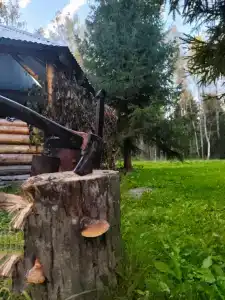 Романов дача - 9