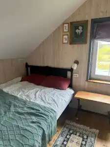 Пенеснарь - 46