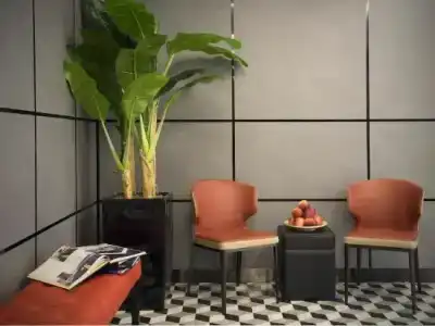 81 Orchid - SG Clean - 21