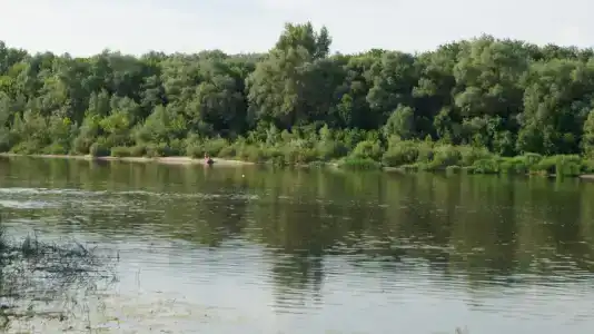 Усадьба на Дону - 16