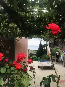 RoseHouse - 14